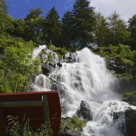 Waldlicht Titisee Exteriör bild