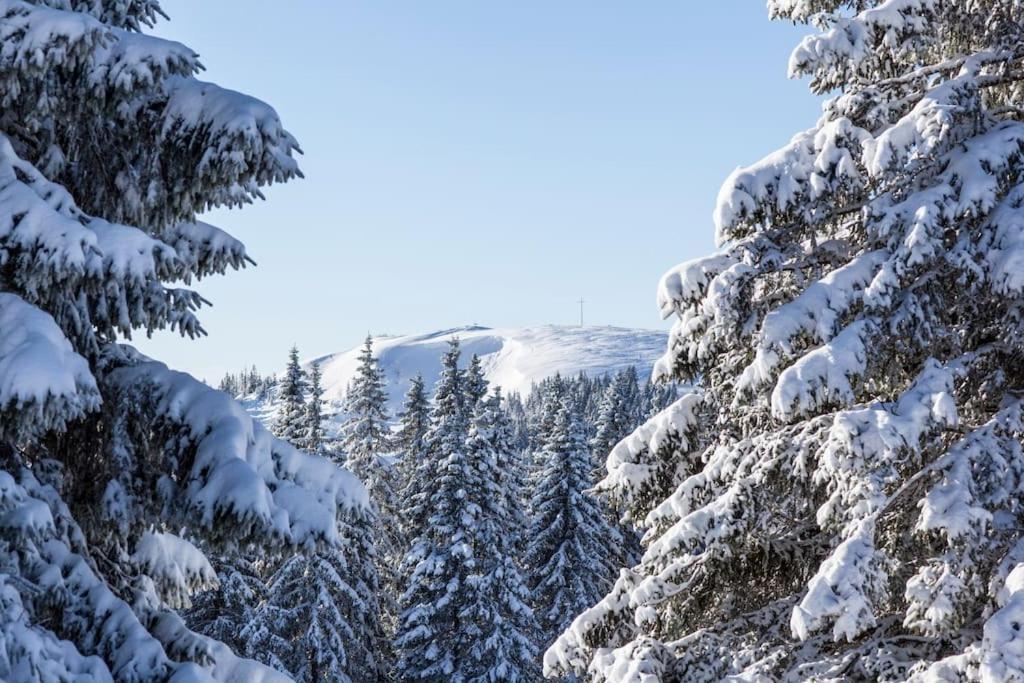 Waldlicht Titisee Exteriör bild