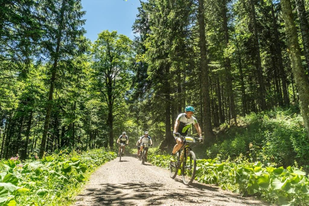 Waldlicht Titisee Exteriör bild