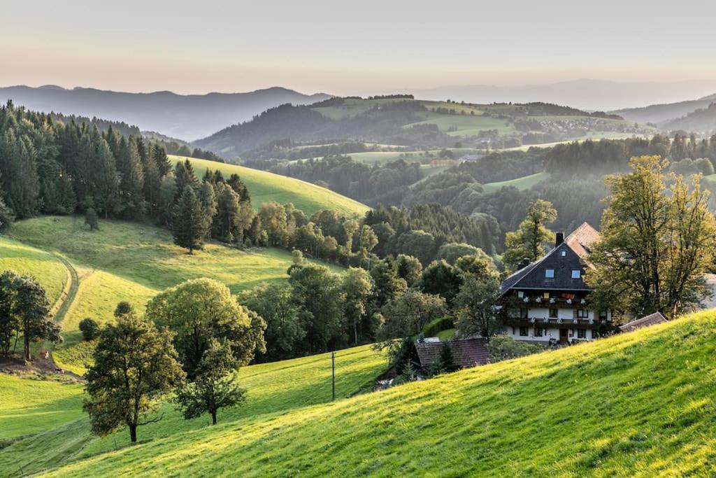 Waldlicht Titisee Exteriör bild