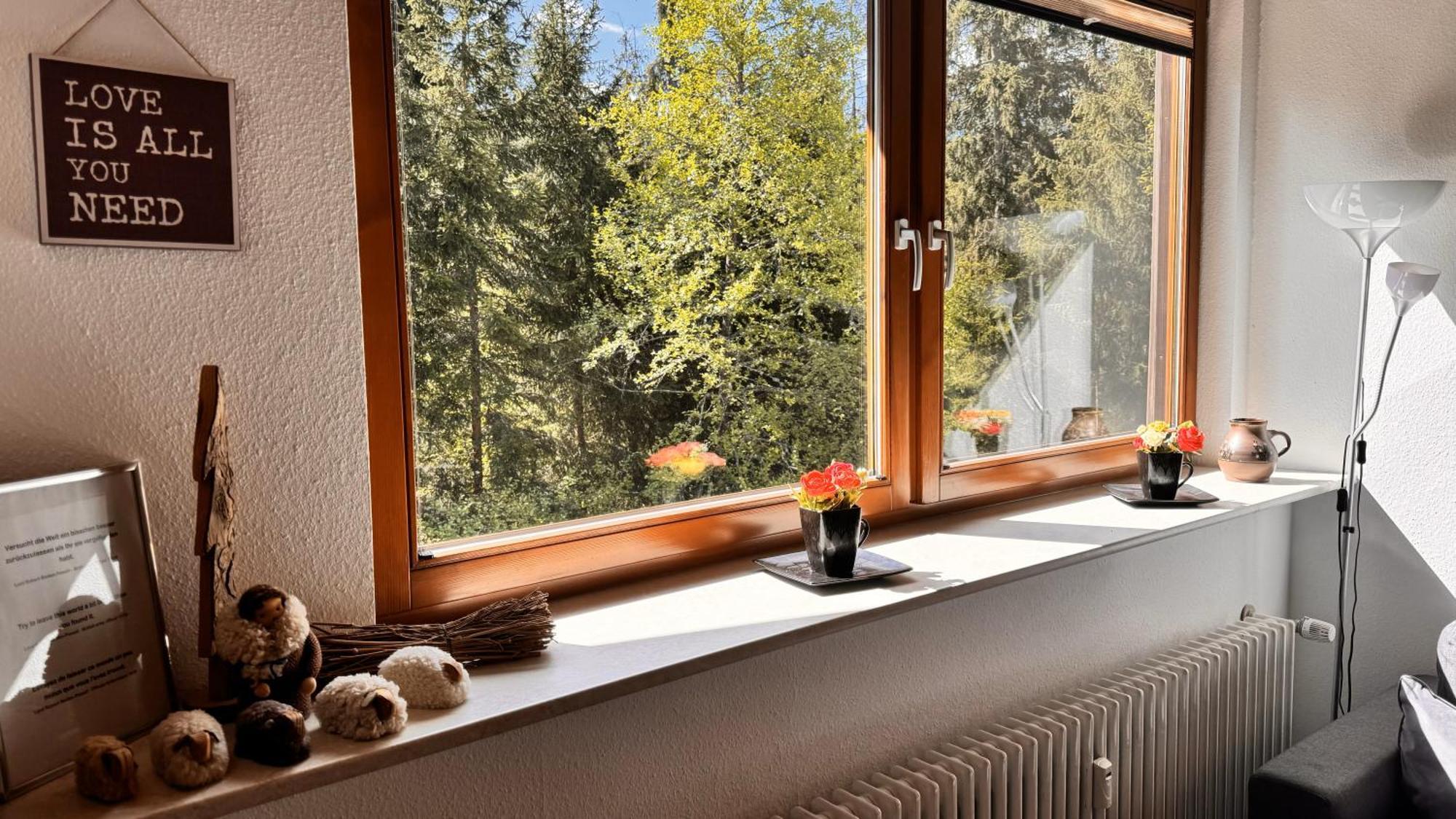 Waldlicht Titisee Exteriör bild